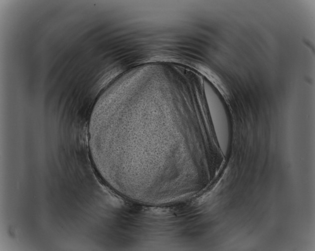 X0000091651241200709131444