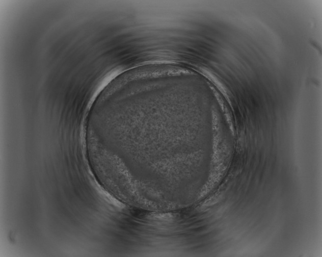 X0000091651243200709131444