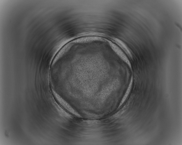 X0000091651244200709131444