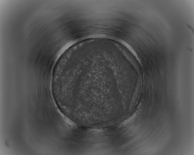 X0000091651245200709131444