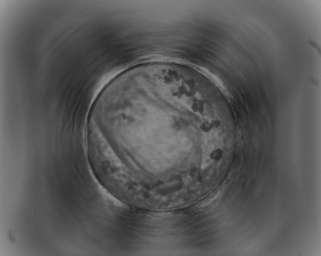 X0000091651247200709131444