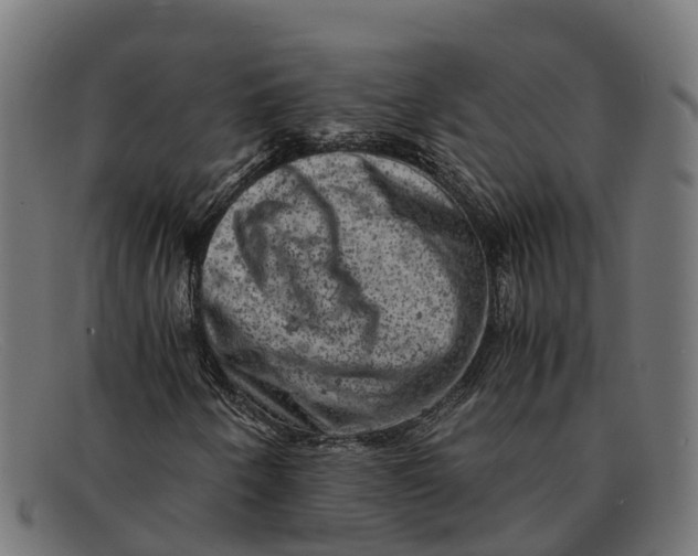 X0000091651250200709131443