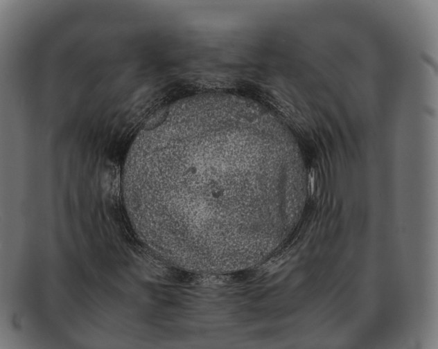 X0000091651251200709131443