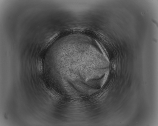 X0000091651252200709131443