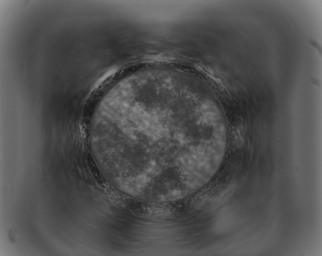 X0000091651254200709131443