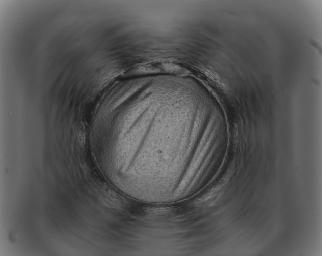 X0000091651257200709131443