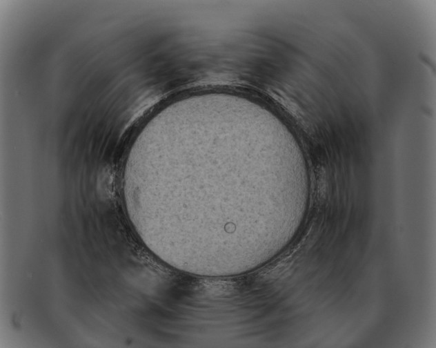 X0000091651258200709131443