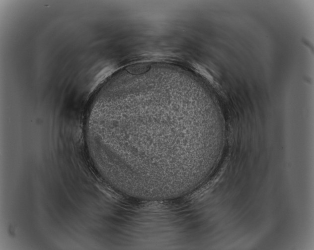 X0000091651259200709131443