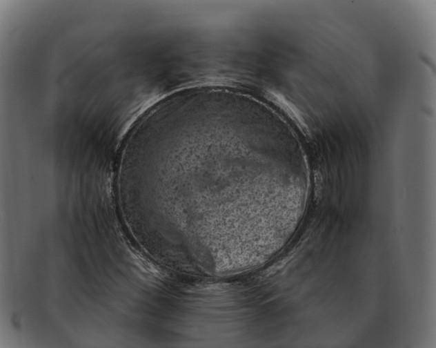 X0000091651260200709131443