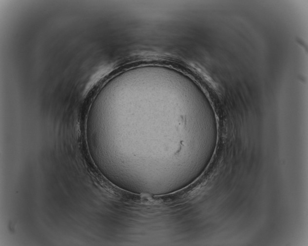 X0000091651261200709131443