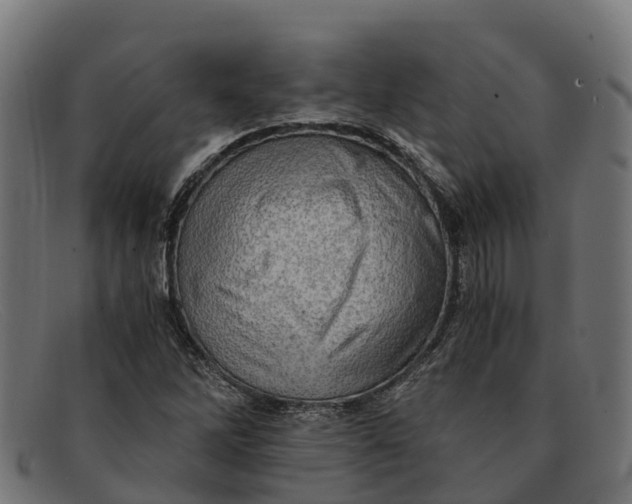 X0000091651262200709131443