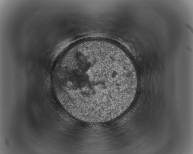 X0000091651263200709131443