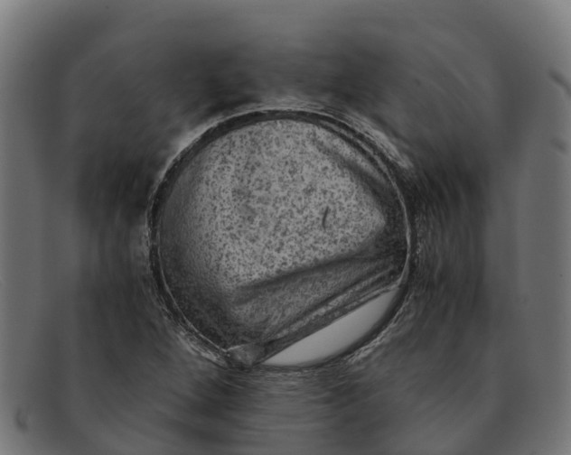 X0000091651264200709131443