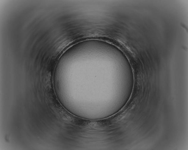 X0000091651265200709131443