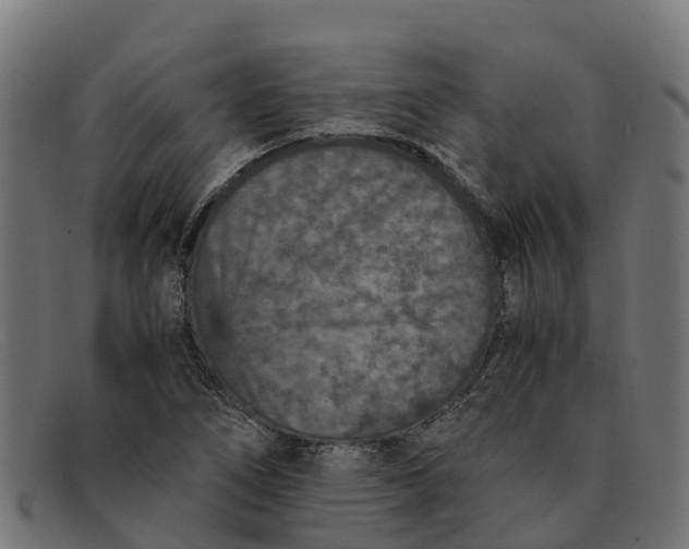 X0000091651266200709131443