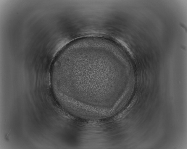 X0000091651267200709131443