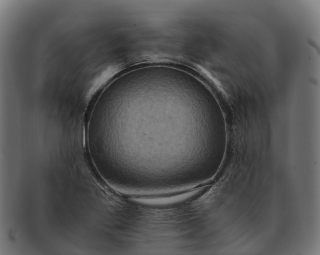 X0000091651269200709131443