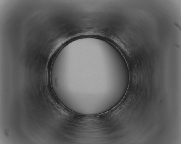 X0000091651270200709131443