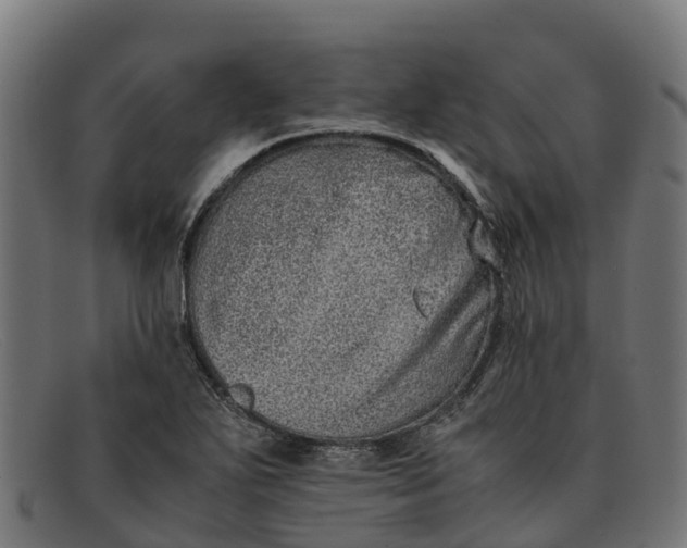 X0000091651271200709131443