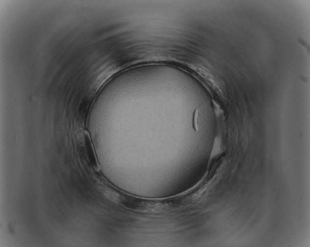 X0000091651273200709131443