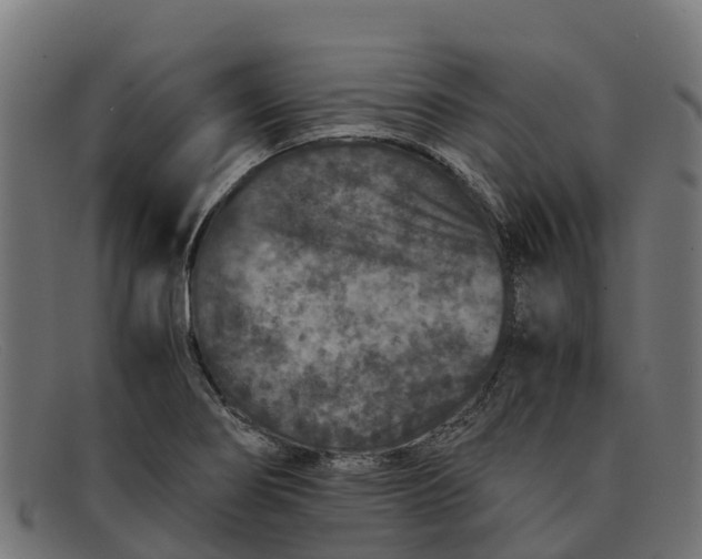 X0000091651274200709131443