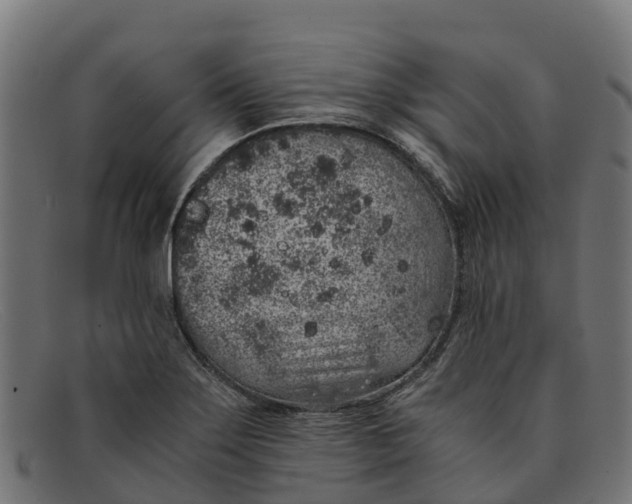 X0000091651275200709131443