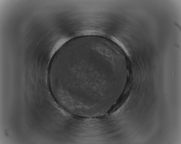 X0000091651277200709131443