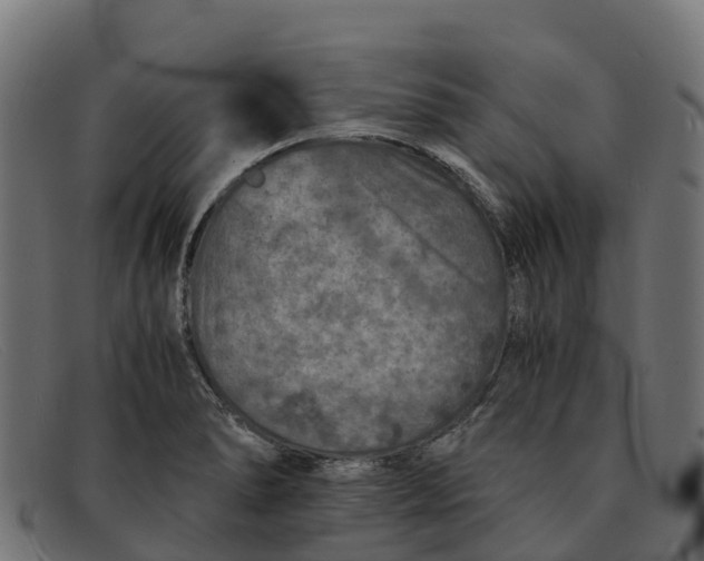 X0000091651278200709131443