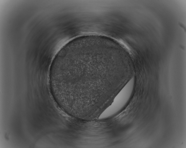 X0000091651279200709131443