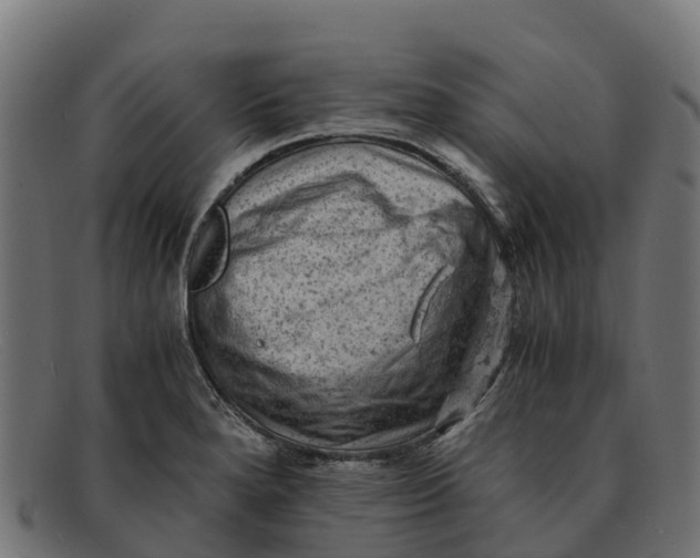 X0000091651280200709131443