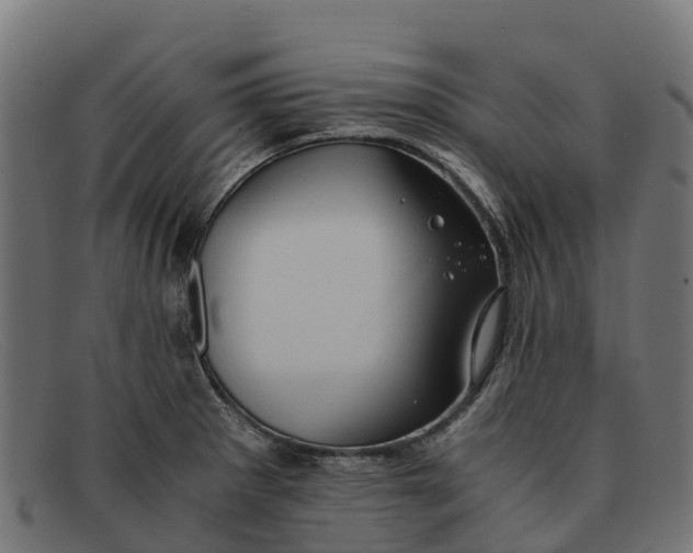 X0000091651281200709131443