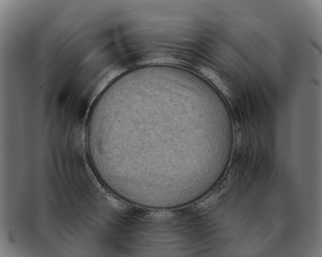 X0000091651282200709131443