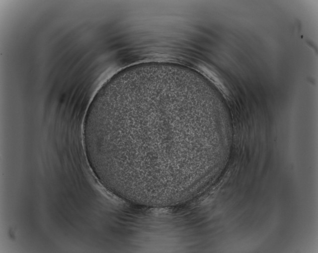 X0000091651283200709131443