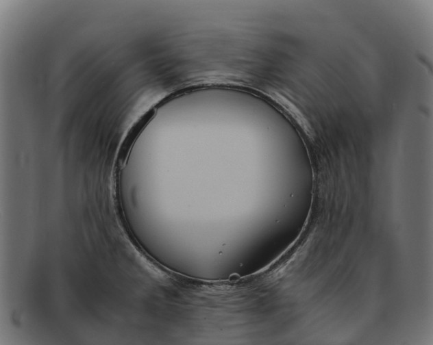 X0000091651285200709131443