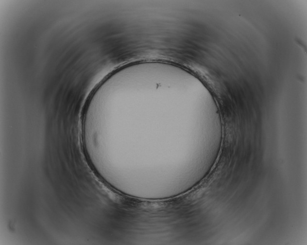 X0000091651286200709131443