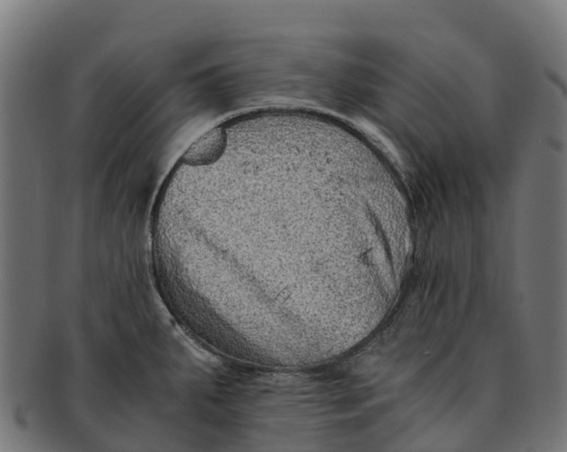 X0000091651287200709131443