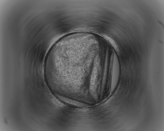 X0000091651288200709131443