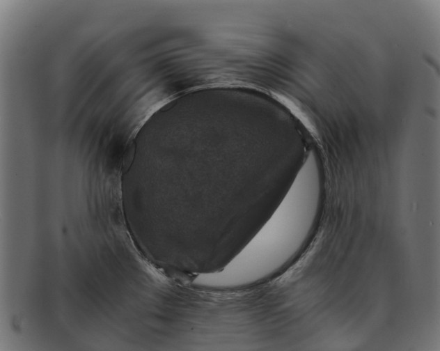 X0000091651289200709131443