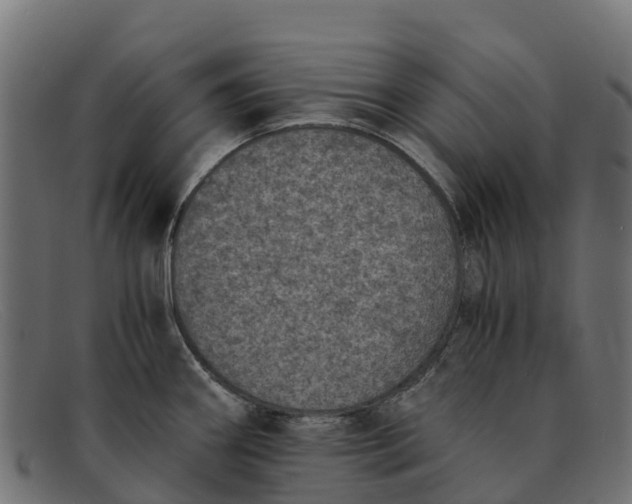 X0000091651290200709131443