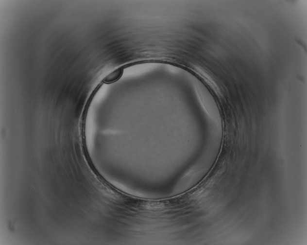 X0000091651291200709131443