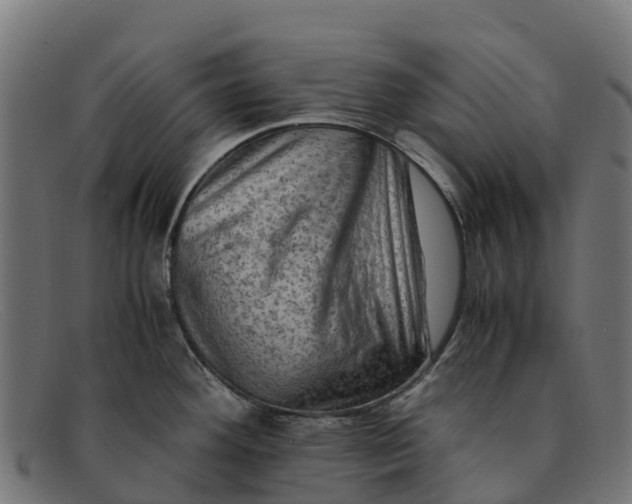 X0000091651292200709131443