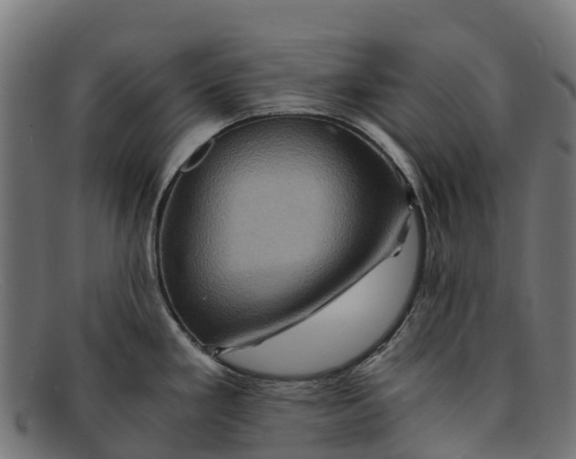 X0000091651293200709131443