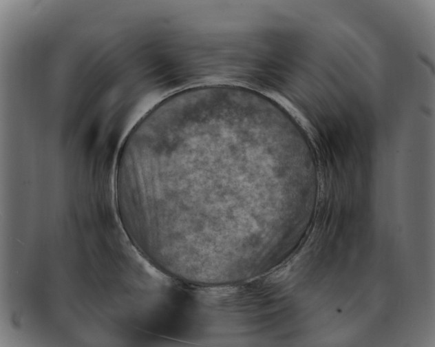 X0000091651294200709131443