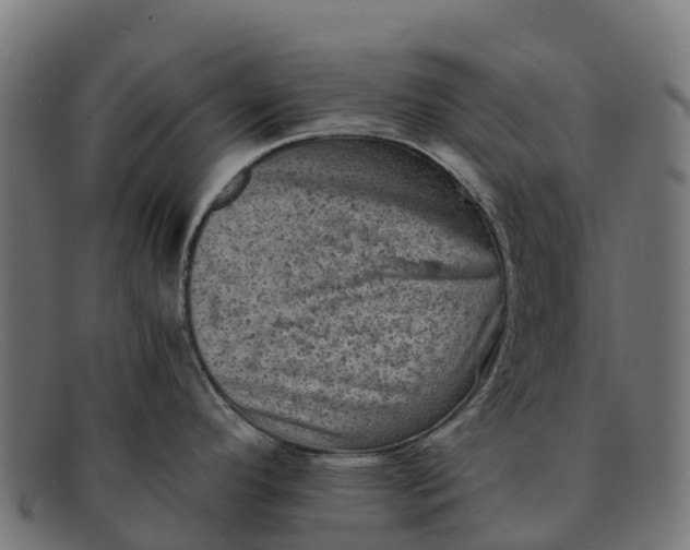 X0000091651296200709131443