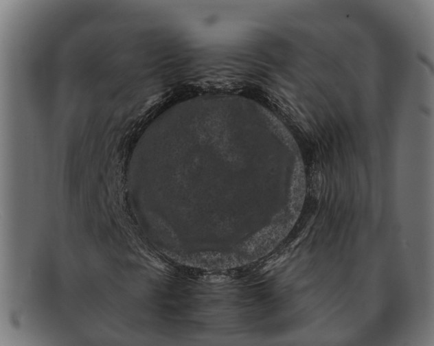 X0000091651297200709131442