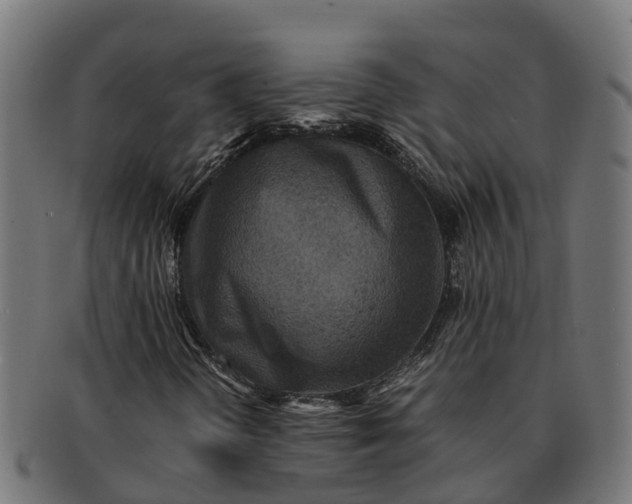 X0000091651298200709131442