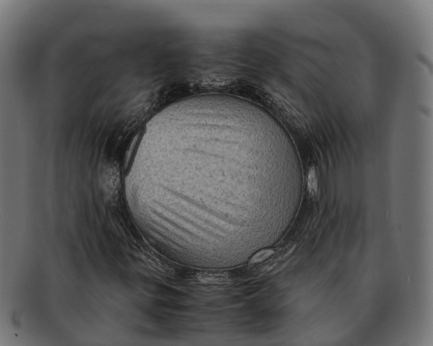 X0000091651299200709131442