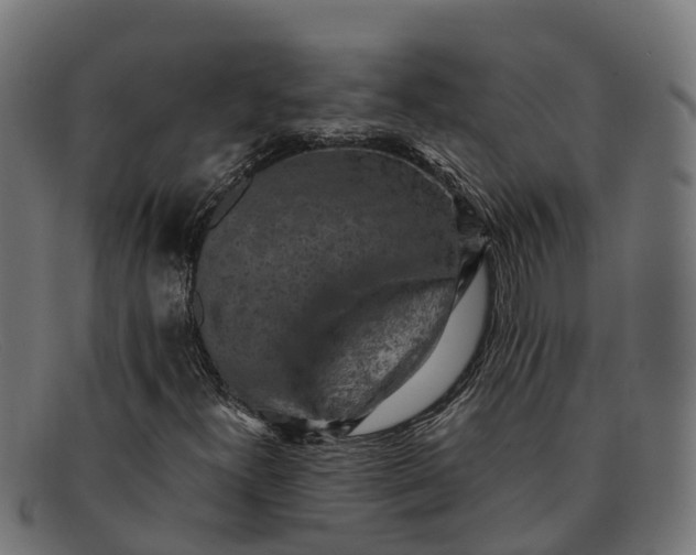 X0000091651300200709131442