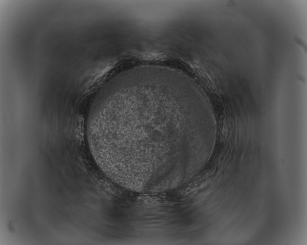 X0000091651301200709131442