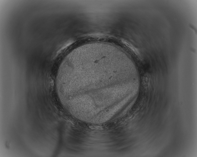 X0000091651302200709131442